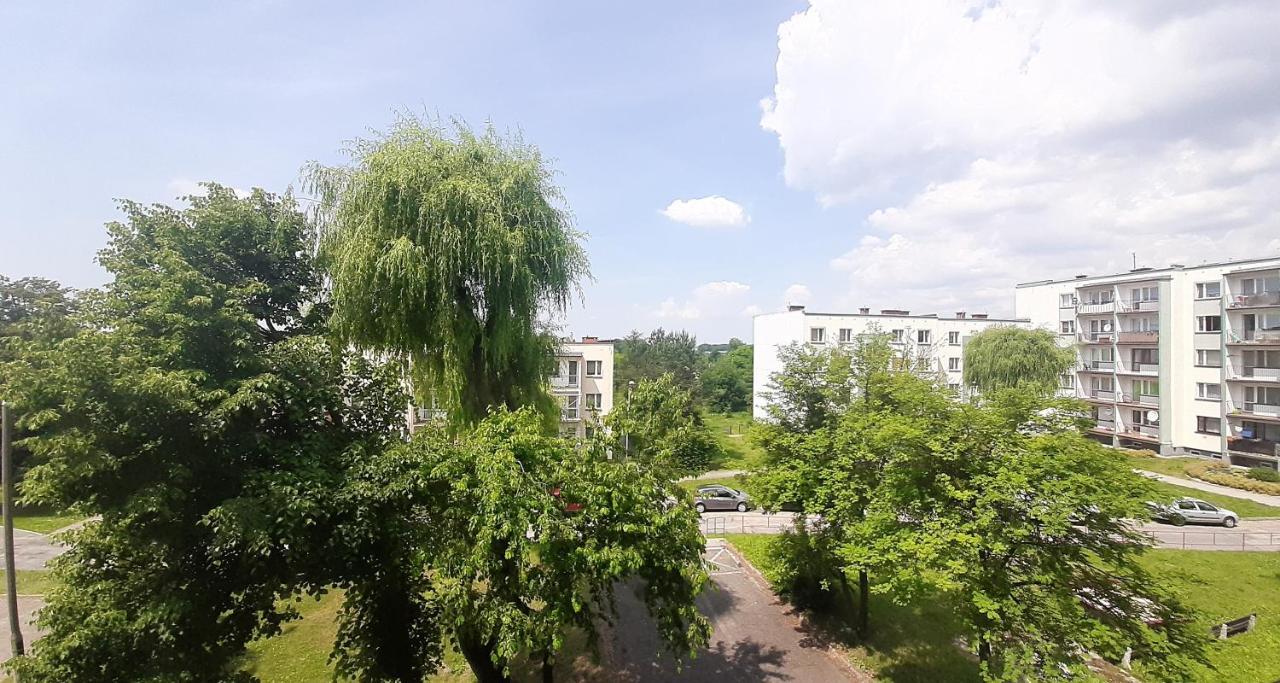 Bursztynowy Apartament Tarnowskie Góry 外观 照片