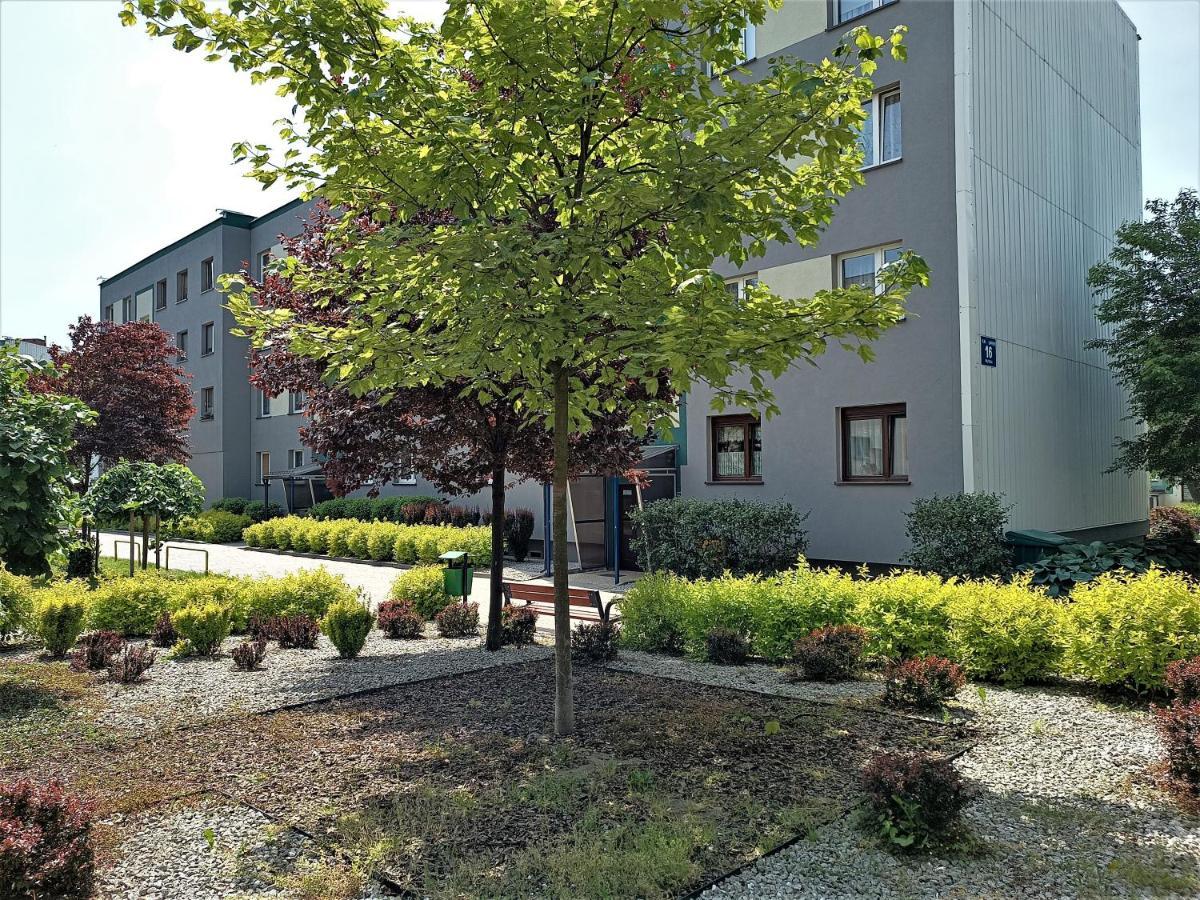 Bursztynowy Apartament Tarnowskie Góry 外观 照片