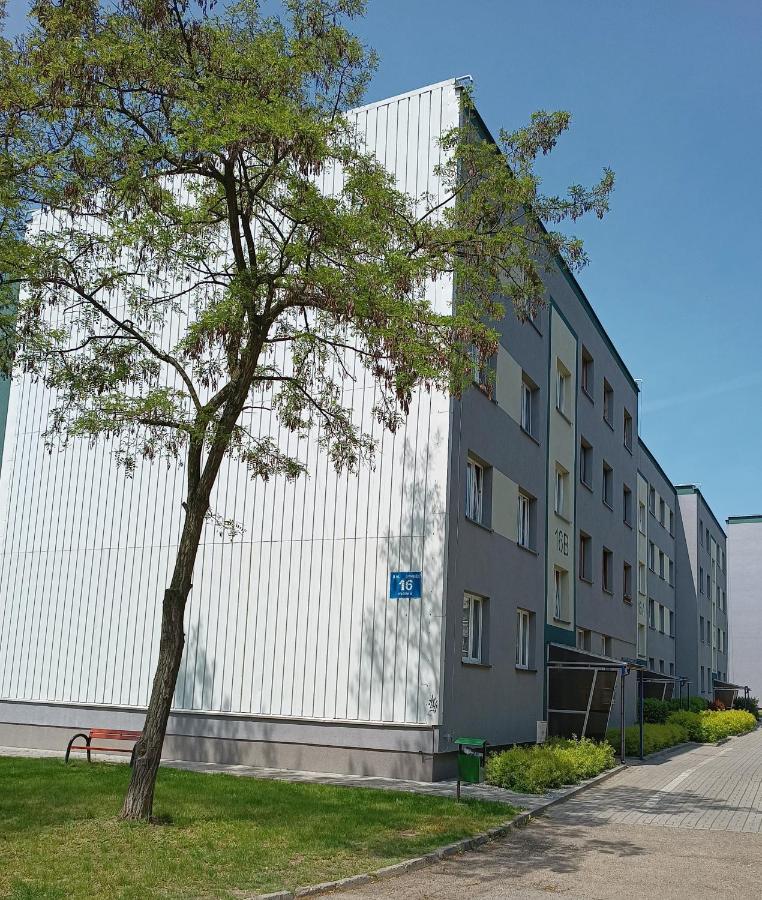 Bursztynowy Apartament Tarnowskie Góry 外观 照片